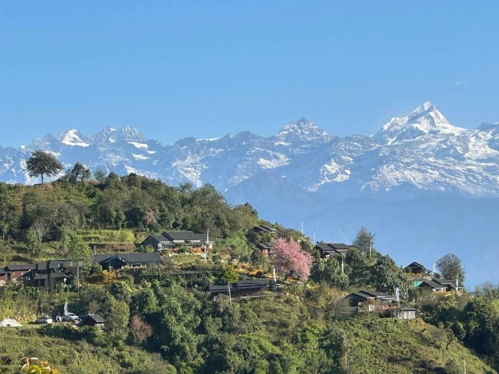 Prakriti  Resort and Organic Farm view